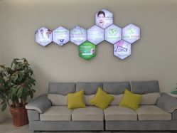 -莱可美科技美肤