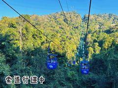 -野象谷景区