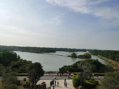 -大湾区中央湿地公园