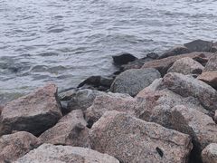 -深圳湾公园(南山区)