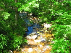 -洛阳白云山景区
