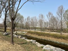 -东郊湿地公园