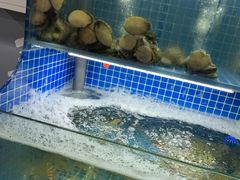 -星记小馆·小蓝龙·老南京砂锅菜(上海路店)