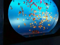 -梦幻海洋王国(吾悦广场张家港店)