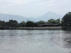 -三垟湿地