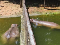 -海南热带野生动植物园
