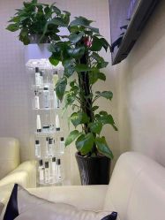 -痘博士北京·全国连锁祛痘机构