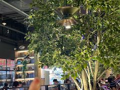 -同仁四季椰子鸡(海岸城天利店)