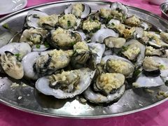 -大湾区中央湿地公园-十九涌