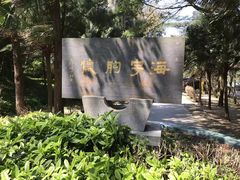 -宋井风景区