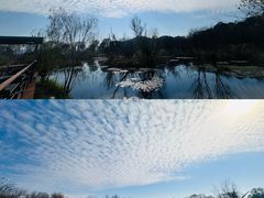 -西湖风景区-江洋畈生态公园