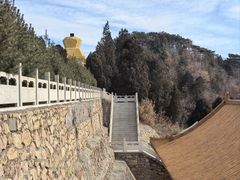 -遵化市禅林寺古银杏风景园