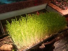 -临家闽南菜(大唐店)