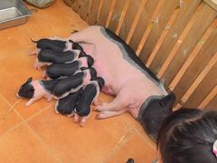 -HERRE·FARM 赫尔露营农场·团建聚会包场