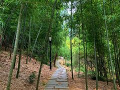 -宝界山林公园