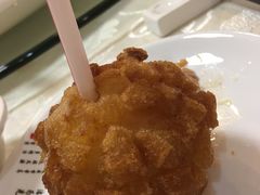 -丁老爷子苏香圆