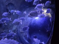 -成都浩海立方海洋公园