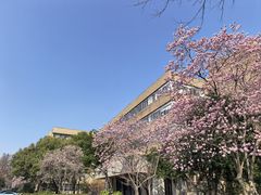 -浙江大学(玉泉校区)