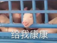 -天空之城游乐体验世界(义乌之心店)