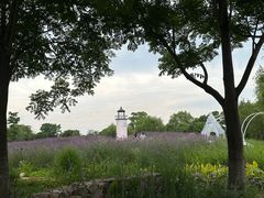 -梁鸿国家湿地公园