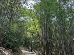 -顺峰山公园