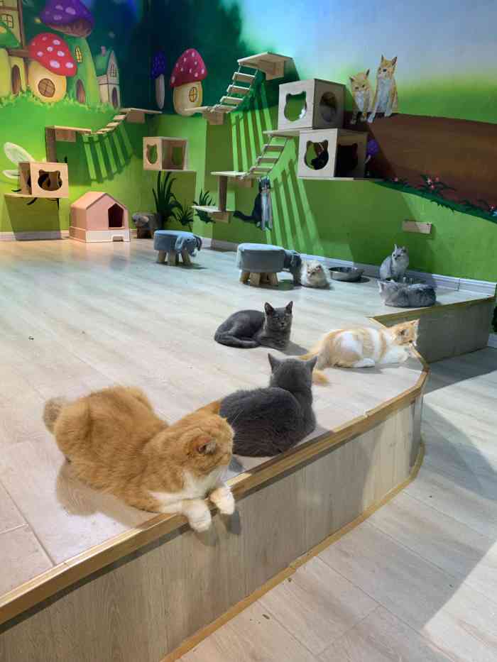 cute zoo城市动物园-"民乐园万达负一层,从华润穿过去比较好找.