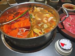 菌汤牛油鸳鸯锅-季季山·云南野生菌火锅(上海首店)