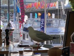 -I'm Angus Steakhouse