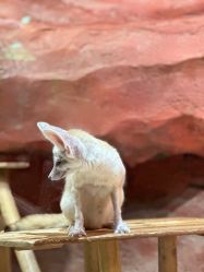 -Zoolung Zoolung动物主题公园(海信广场店)