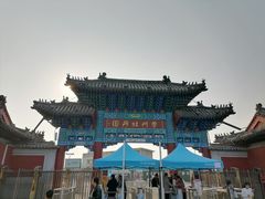 -曹州牡丹园