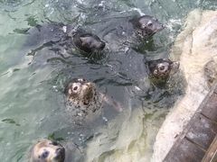 -华夏文旅西安度假区