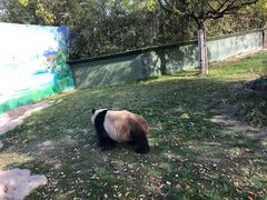 -上海野生动物园