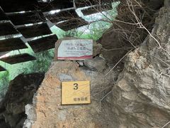 -周口店北京人遗址公园