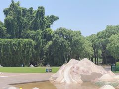 -上海月湖雕塑公园