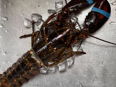 -大润发(康桥店)