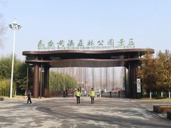 -黄海国家森林公园