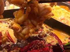 牛蛙-蜀大侠火锅(森兰花园城店)