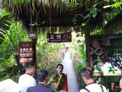 -呀诺达热带雨林