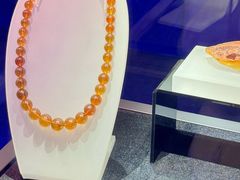 -湖南省地质博物馆