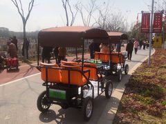 -上海长兴岛郊野公园