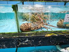 水产区-顺风山庄(水濂山店)