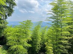 -莫干山风景区