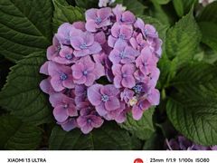 -中国科学院华南植物园