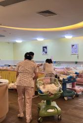 -生命加•Q考拉月子会所(玫瑰园店)