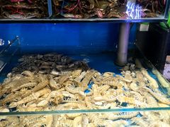-辣盆盆麻辣小龙虾(哈尔滨总店)