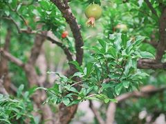 -西安华清御汤酒店