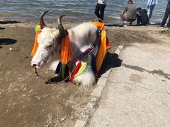 -青海湖国家重点风景名胜区