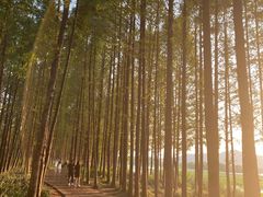 -云龙湖旅游景区