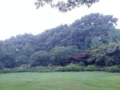 -尚贤河湿地