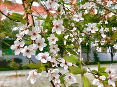 -湖南师范大学-木兰路食堂